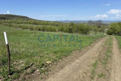 Teren intravilan 2200mp, Front 16m, sat. Padureni, Chinteni - 5