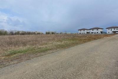 Corbeanca zona Paradisul Verde, teren pretabil investitie, comision 0% - 3