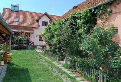 Casă cu 6 camere cu Teren 750 Mp în Simeria - 5