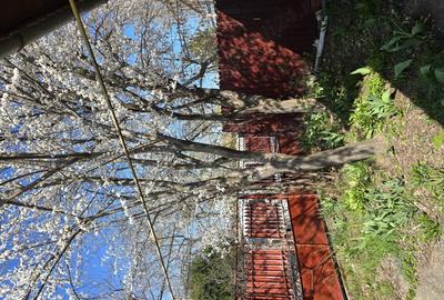 Casă cu 3 camere cu Teren 211 Mp în Dămăroaia - 7