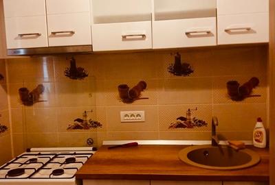 Garsonieră semidecomandată în Dristor - 11