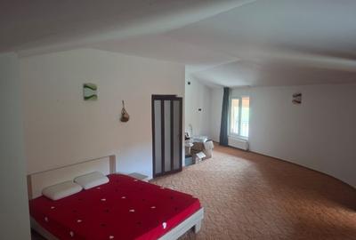 Inchiriez Vila 5 camere in Padurea Snagov, Silistea Snagovului - 6