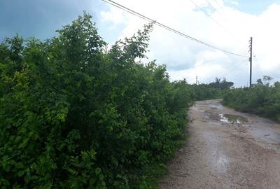 Teren de 2500 mp, în Central - 4