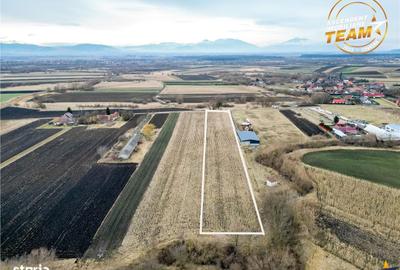 Teren de 5800 mp, în Ilieni - 2