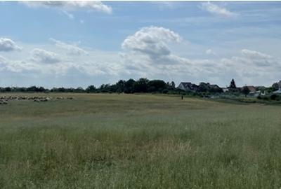 Teren Construcții intravilan de 906 mp, în Sânleani - 9