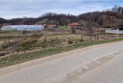 Casă cu 3 camere în Cornuțel - 1