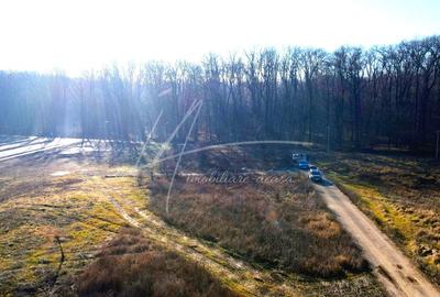 Teren intravilan, 2 fronturi, Drumul Padurea Pustnicu 65 - Greenfield - 22