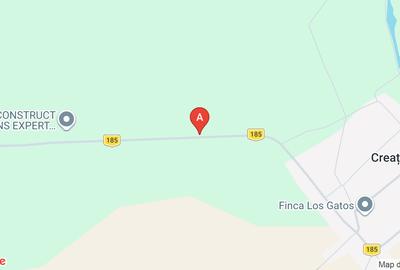 Teren Construcții intravilan de 5000 mp, în Dascălu - 1