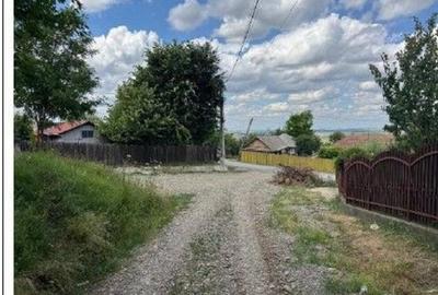 Casă cu 3 camere cu Teren 1481 Mp în Mogoșești - 7