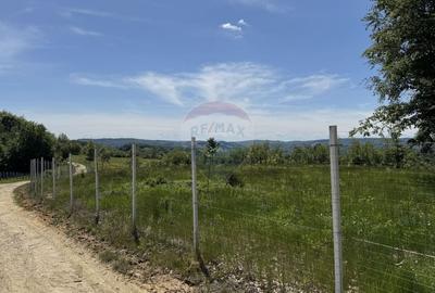 Teren agricol intravilan de 55600 mp, în Codru Butesii - 9
