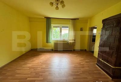 Casă cu 5 camere cu Teren 3000 Mp în Horea - 1