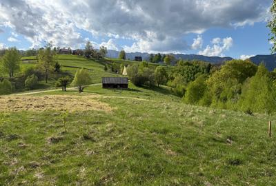 Teren intravilan 1000 mp in satul Pestera, Comuna Moieciu la 12 km de Bran - 1