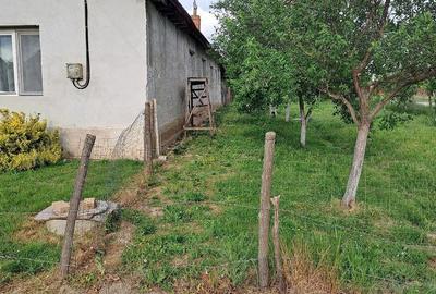 Casă cu 3 camere cu Teren 2877 Mp în Central - 2