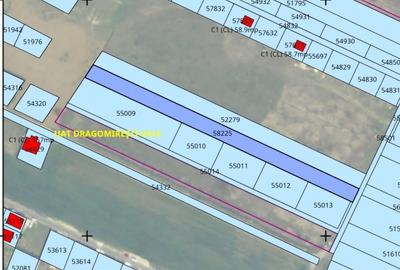 Teren Construcții intravilan de 6500 mp, în Dragomirești-Deal - 3