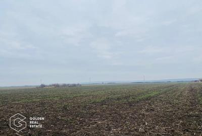 Teren, Intrare Recas, Drumul E70 - 3