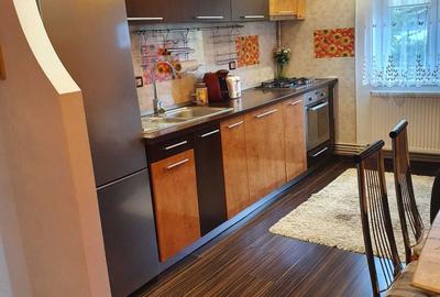 Apartament cu 2 camere decomandat în Scriitorilor - 4