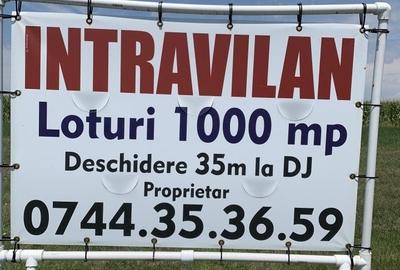 Teren 1000 mp intravilan , Dascalu, deschidere 35 m la DJ 200, 0744353659 - 2