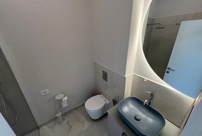 Vanzare Vila Ultramoderna Iancu Nicolae - 30