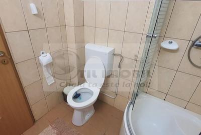 GARSONIERA ALEXANDRU CEL BUN, MOBILATA UTILATA, PREDARE IMEDIATA - 10