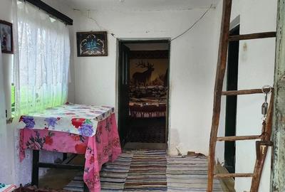 Casă cu Teren 1255 Mp în Săcelu - 9