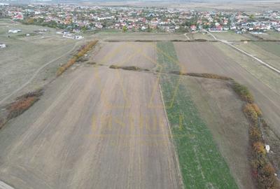 Teren arabil Intravilan 11600mp | LmP | Remetea Mare | COM 0% Teren arabil Intravilan 11600mp | LmP | Remetea Mare | COM 0% - 3