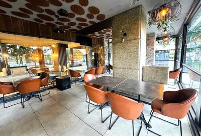 Inchiriem Spatiu Comercial ZONA ESPLANADA - 14