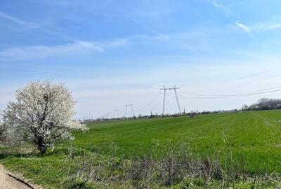 De vanzare lot teren intravilan Dumitrana Magurele - 3