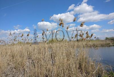 TEREN 22 HA  ideal parc industrial - 15