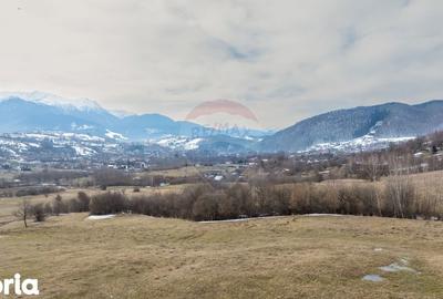 Teren de 5602 mp, în Bran - 4