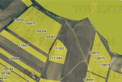 Teren agricol extravilan de 4030 mp, în Exterior Sud - 4