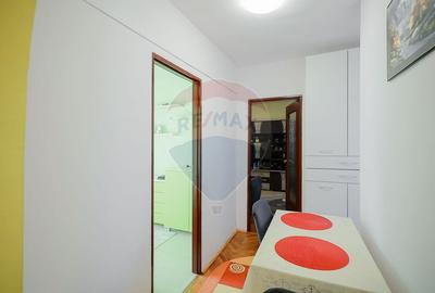 Apartament cu doua camere de vanzare in zona Dacia - 11