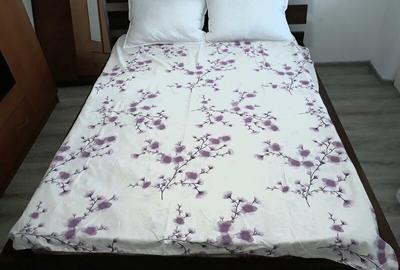 Apartament cu 3 camere semidecomandat, mobilat în Colentina - 16