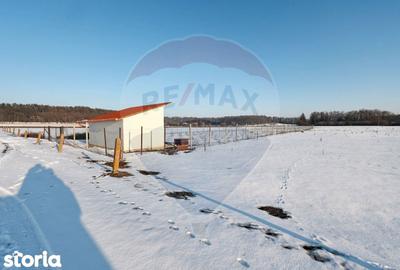 Teren de 4300 mp, în Sânpetru - 10