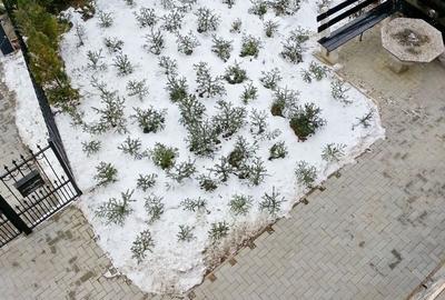 Casă individuală cu 7 camere cu Canalizare în Schei - 17