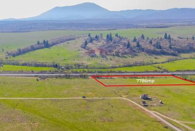 Teren 7786 mp/Curți construcții/Benzinărie - 4