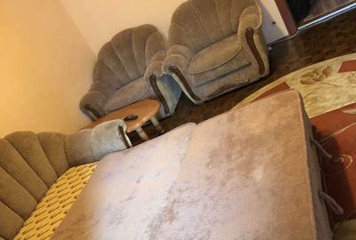 Garsonieră semidecomandată în Brazda lui Novac - 3