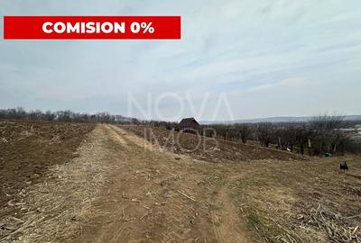 Teren de vanzare in Ocna Sibiului – Locatie premium langa lacurile sarate - 1