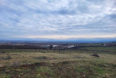 Spațiu comercial, în Șura Mică - 2