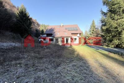 Casă cu 8 camere cu Teren 3905 Mp în Ilva Mică - 4