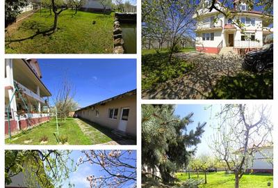 Vila 546 mp, teren 2000 mp si spatii de afacere, Magurele, Ilfov - 4