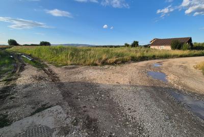 Teren Construcții intravilan de 10000 mp, în Bod - 4