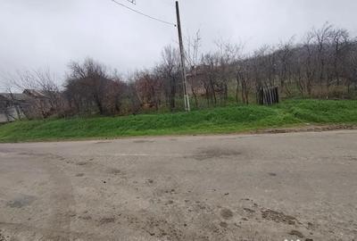 Teren în Brestei - 3