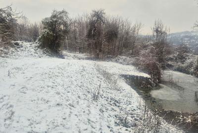 Teren de 9000 mp, în Păușești-Măglași - 7