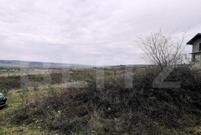 Teren de 1000 mp, în Central