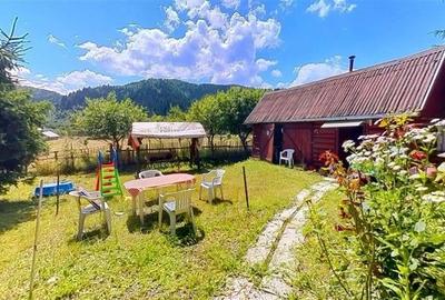 Tur 3D&FILM!!Refugiu de vacanta, in pitorescul cadru:Lunca Bradului. - 3