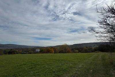 Teren de 8434 mp, în Corușu - 1