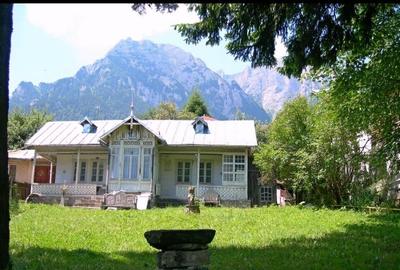 Busteni, ultracentral