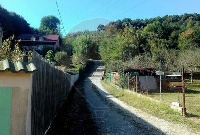 Teren Construcții intravilan de 96279 mp, în Bujoreni - 7