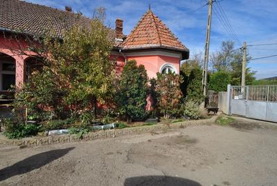 Casa cu teren si anexe, curte generoasa, potential urias - 4