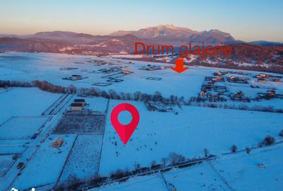 Teren de 10000 mp, în Central